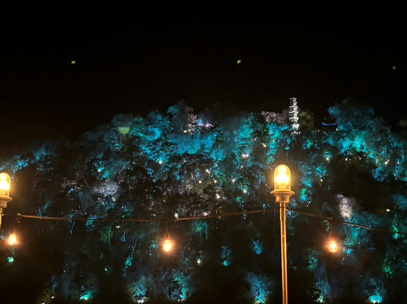 1725007614974 1725007614974